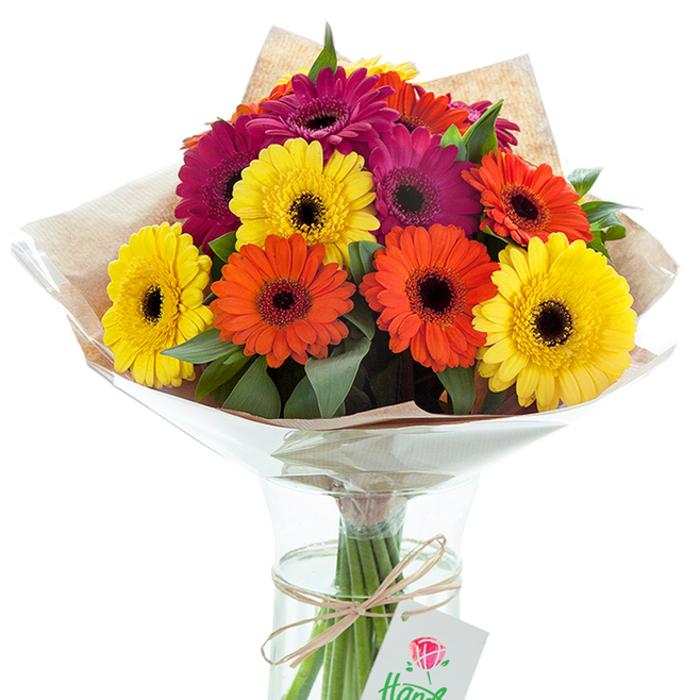 On a serene white canvas, a splendid bouquet of fresh-cut Gerbera daisies is arranged in a clear glass vase, exuding both celebration and grace-an arrangement inspired by the gentle rhythms of New Malden's daily life. Around a dozen Gerberas, each with radiant petals in shades of luminous yellow, sun-kissed orange, and rich, velvety magenta, are arranged to highlight both contrast and harmony. The signature dark centres of the daisies add a striking focal point, deepening the bouquet's visual impact. Lush, leafy greens weave between the blooms, their natural textures evoking the well-kept lawns and open spaces of Manor Park. The upper portion of the bouquet is thoughtfully wrapped in a rustic, light brown kraft paper, balancing earthiness with refinement, then enveloped in a protective cellophane shell that gently catches the light. Clear water fills the subtly contoured vase, keeping each stem vibrant and upright, a testament to the craftsmanship of local New Malden florists who take pride in sourcing and preparing only the freshest blooms. A slim, natural twine is tied in a simple, artful bow around the gathered stems, and from it dangles a petite white gift tag subtly illustrated with a graceful red rose. This detailed, evocative arrangement conjures images of joyful celebrations and heartfelt gestures across New Malden, serving as the perfect token for birthdays, housewarmings, or simply bringing colour and happiness into a loved one's home.